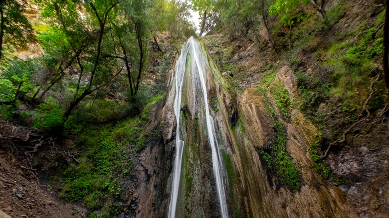 Waterfall cresting over ledge with green trees surrounding